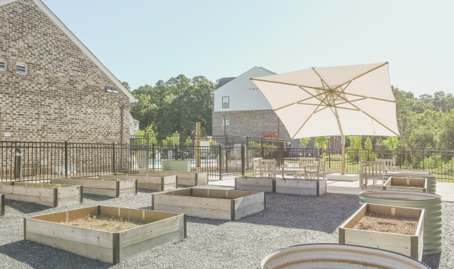 Garden boxes in gravel with large umbrella above